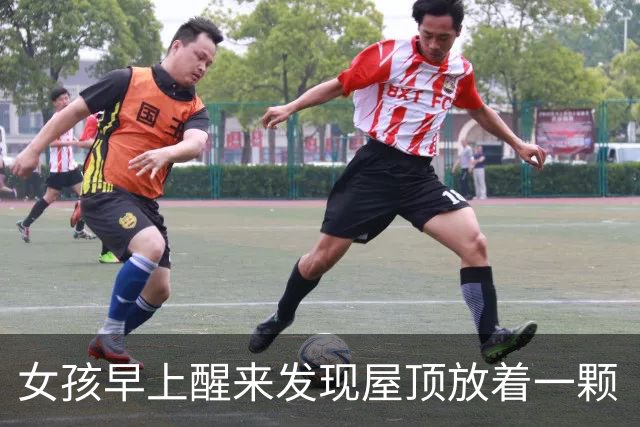 女孩早上醒来发现屋顶放着一颗“狗头”，吓得魂都快没了，结果它突然站起来了…